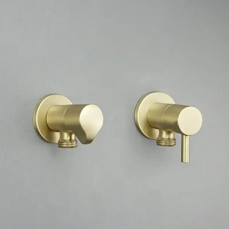 Dual Control Bidet Valve