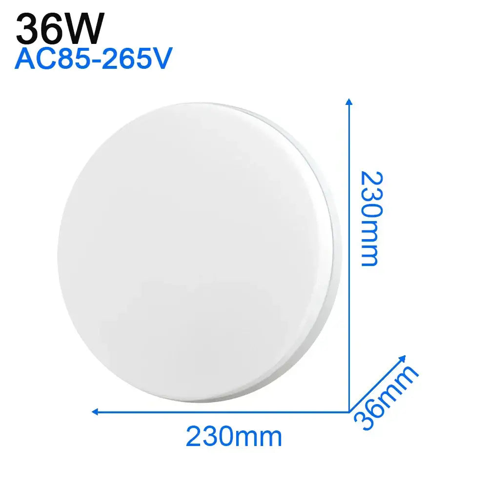 White Ultra-Thin Ceiling Light