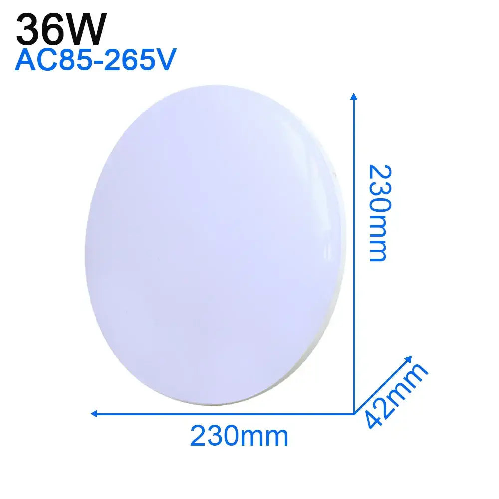 White Ultra-Thin Ceiling Light