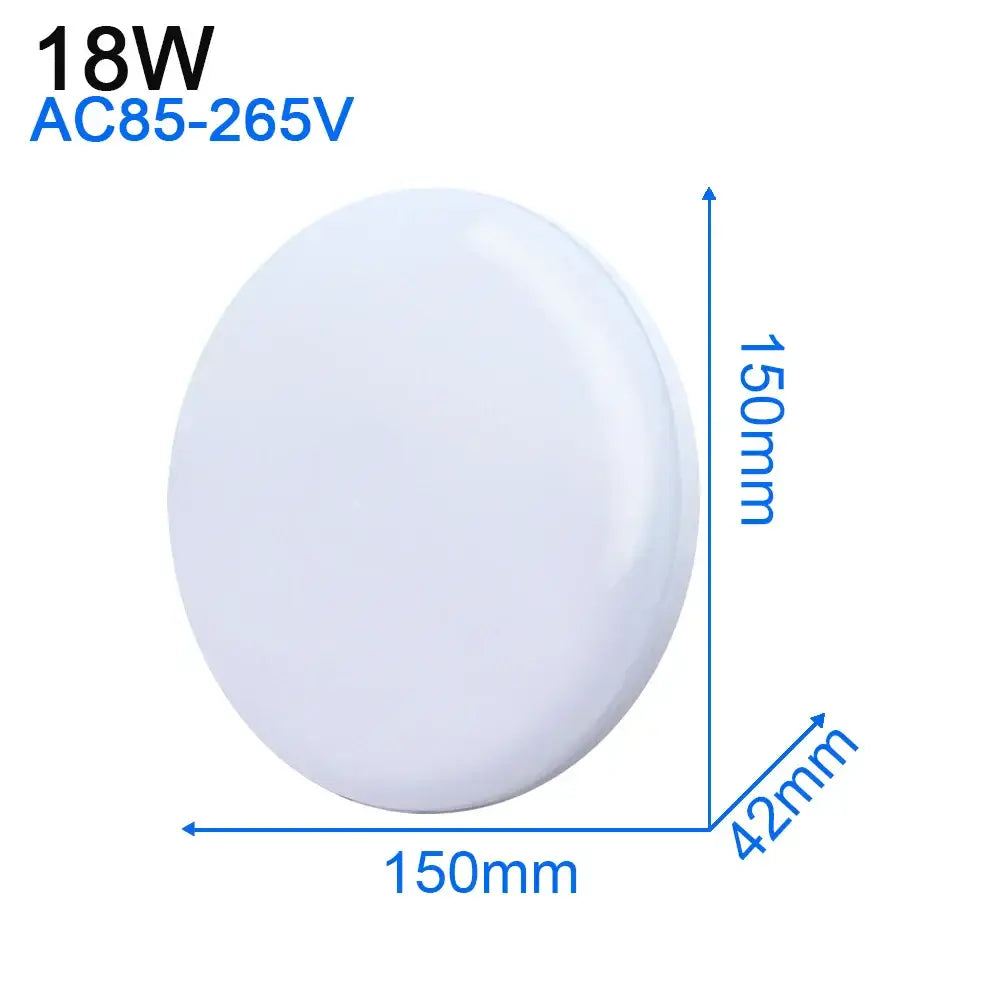 White Ultra-Thin Ceiling Light