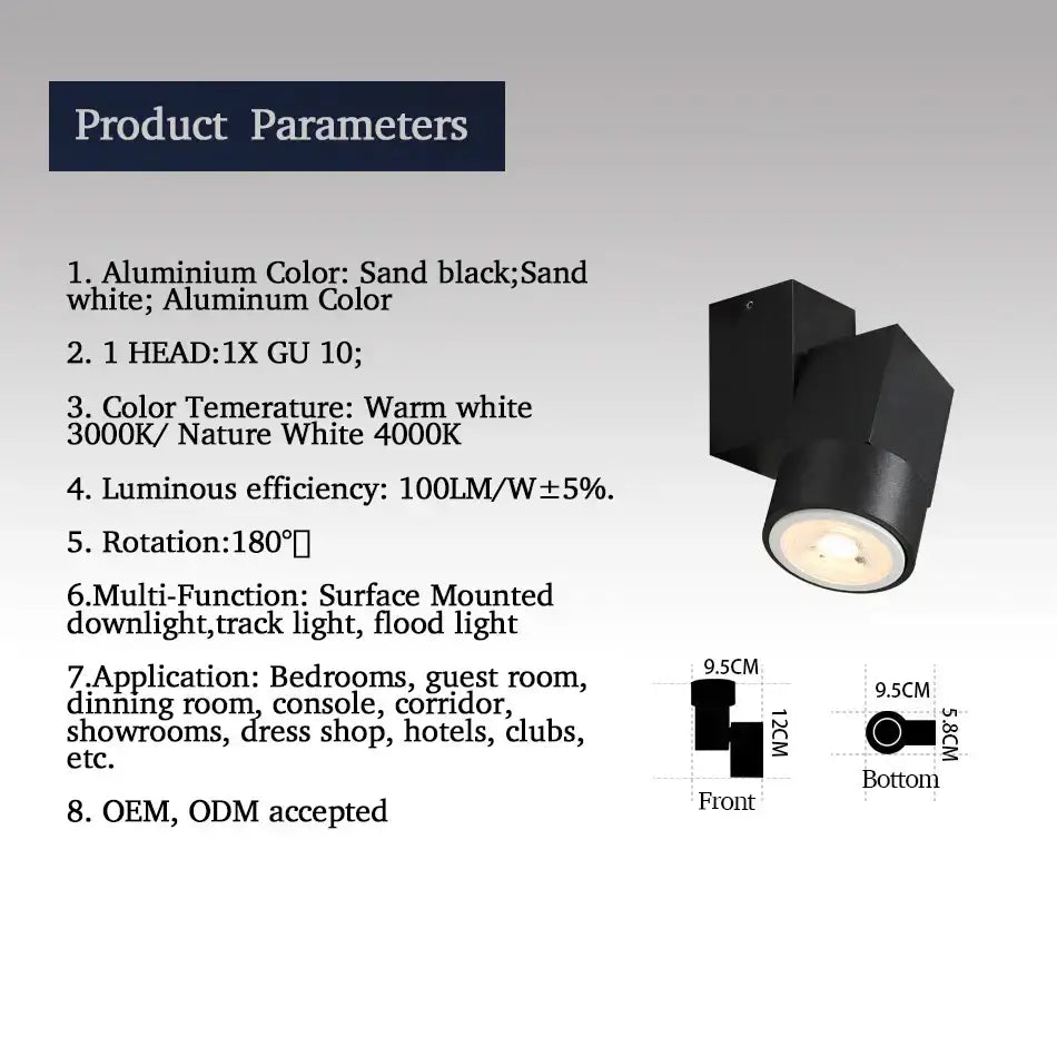 White Adjustable Downlight Fixture