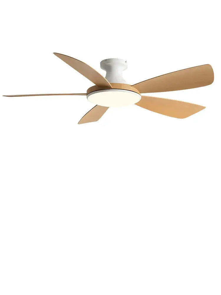 Brown Ceiling Fan Light