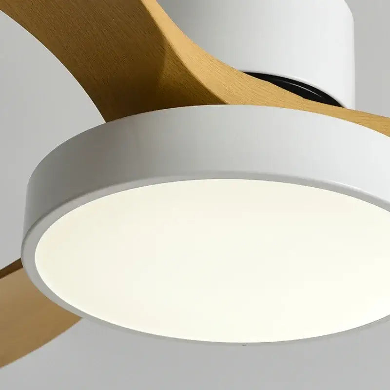 Black Ceiling Fan Light