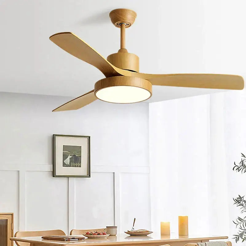 Black Ceiling Fan Light