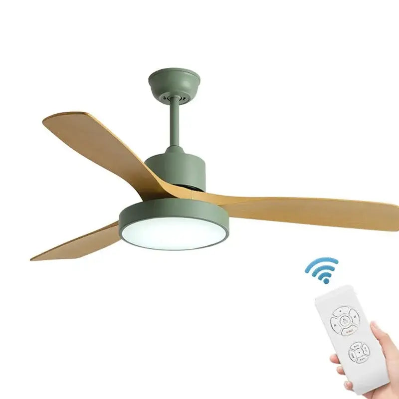 Black Ceiling Fan Light