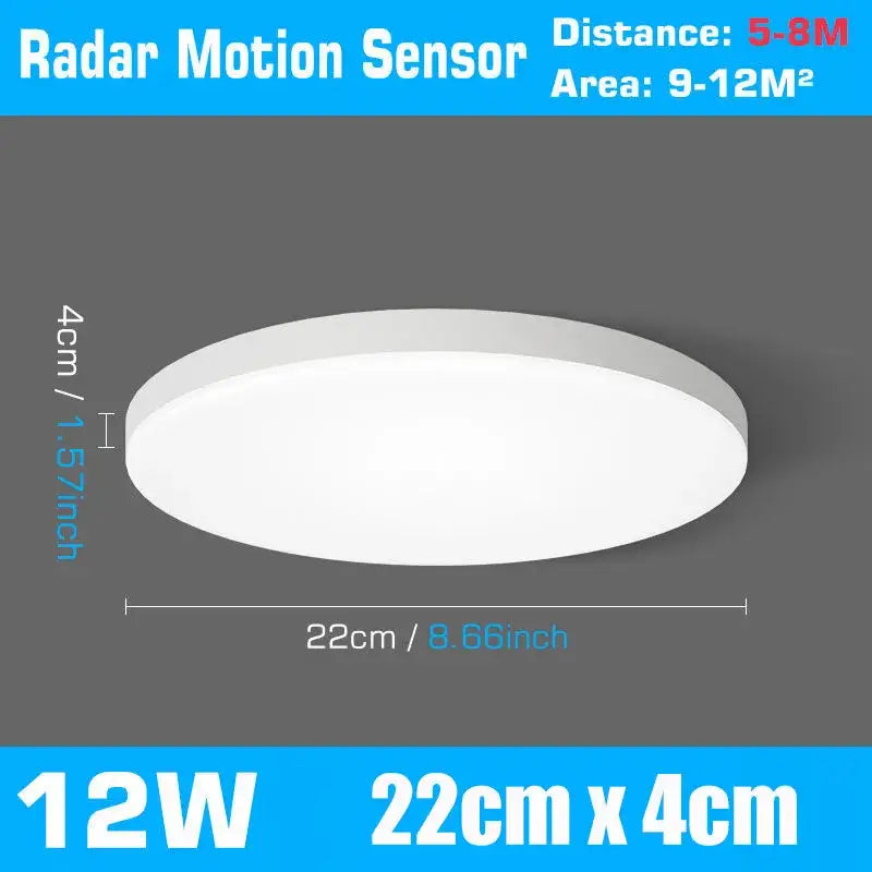White Motion Sensor Ceiling Lamp
