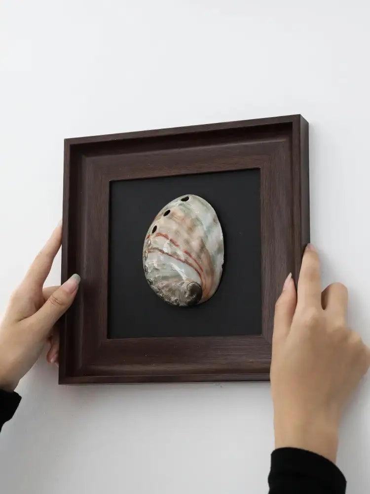 Abalone Shell Art Frame