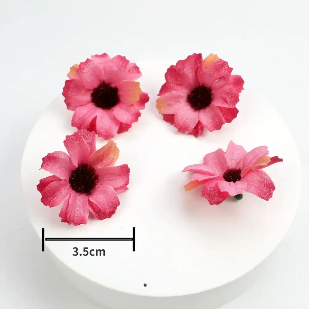 Pink Lavender Daisy Flowers