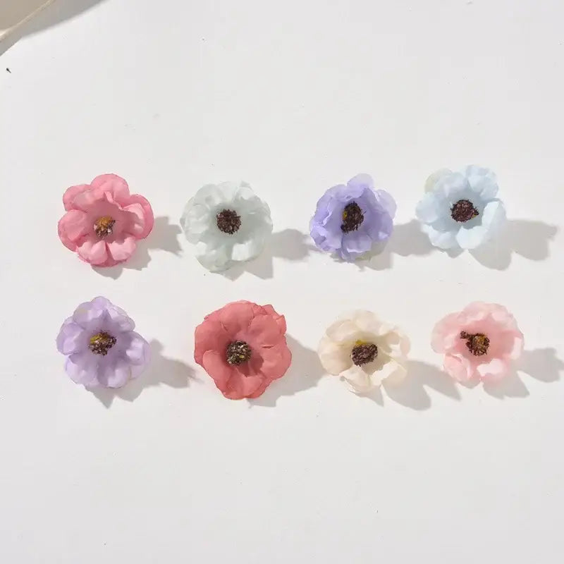 Pink Lavender Daisy Flowers