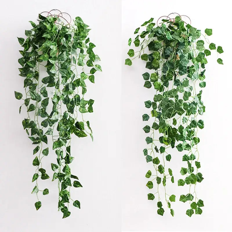 Green Ivy Hanging Basket