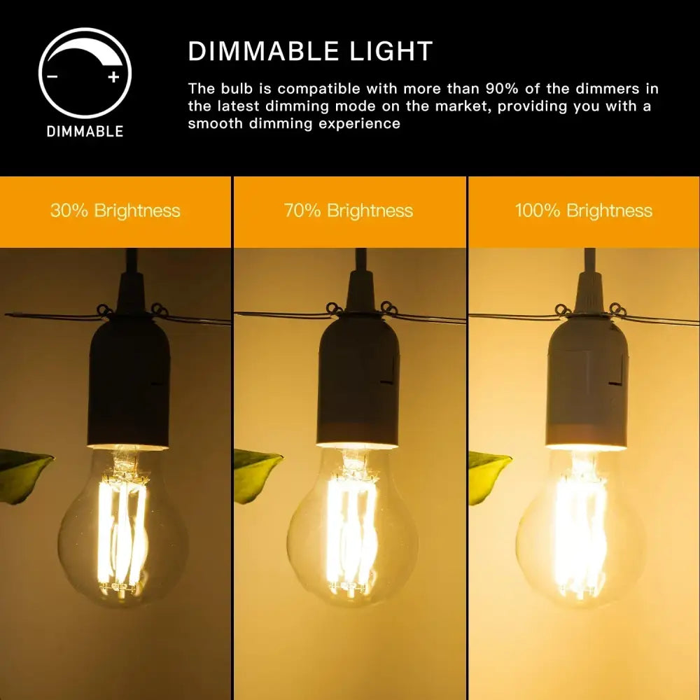 Warm White Edison LED Bulbs