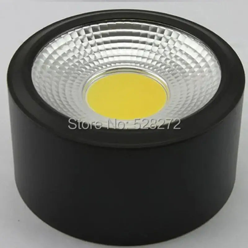 Silver LED Downlight Fixture