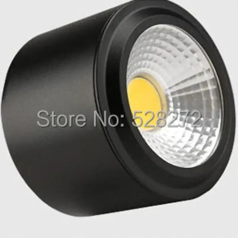Silver LED Downlight Fixture