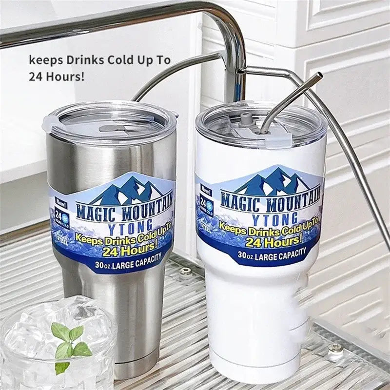 Silver Insulated Tumbler Set