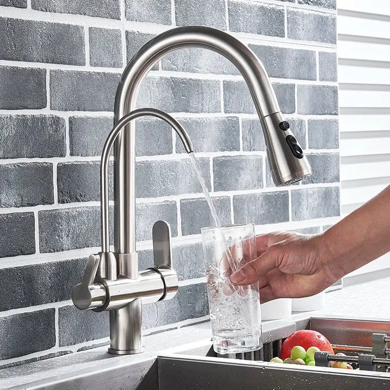 Black Arched Water Filter Faucet