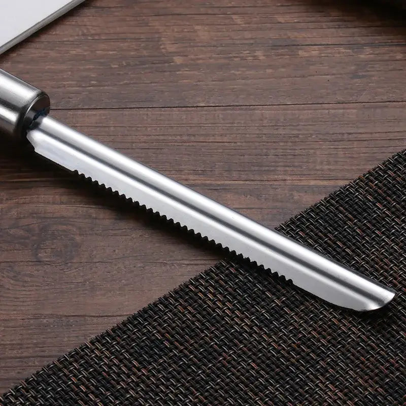 Stainless Steel Fruit Corer