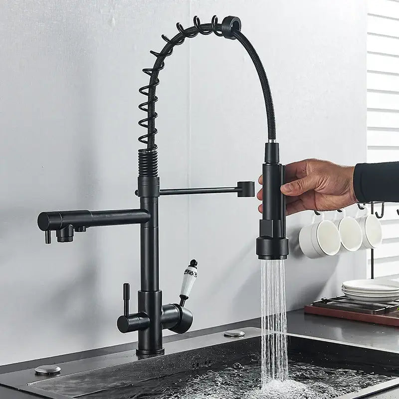 Matte Black Pull-Down Faucet With Filter