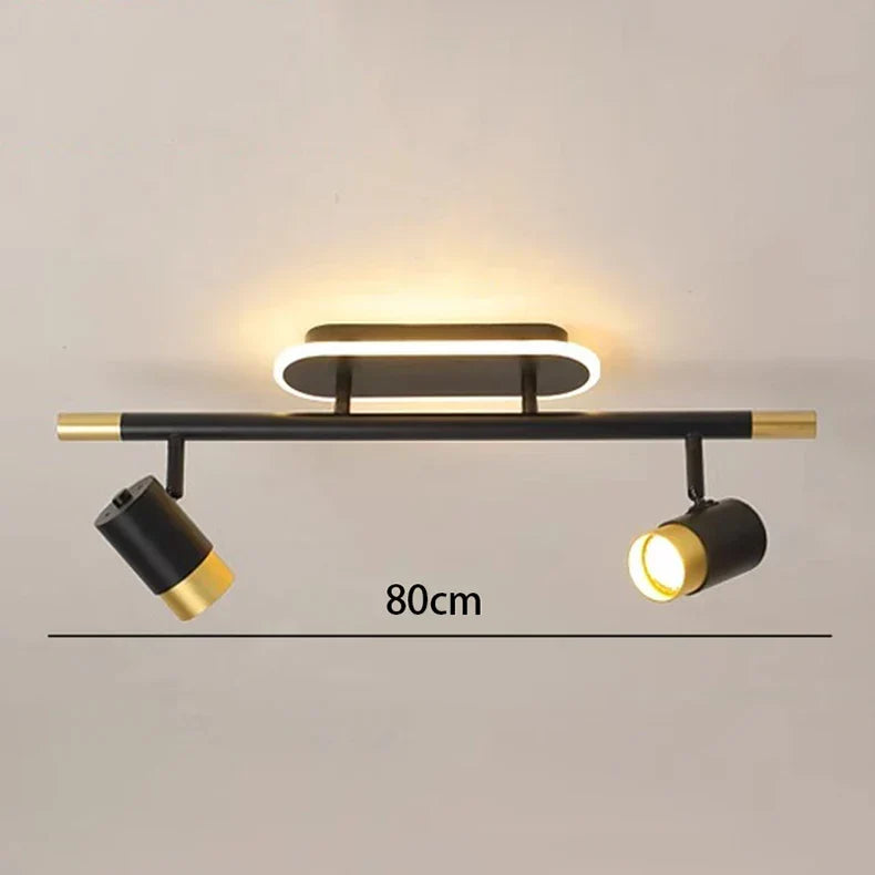 Gold Finish Ceiling Light