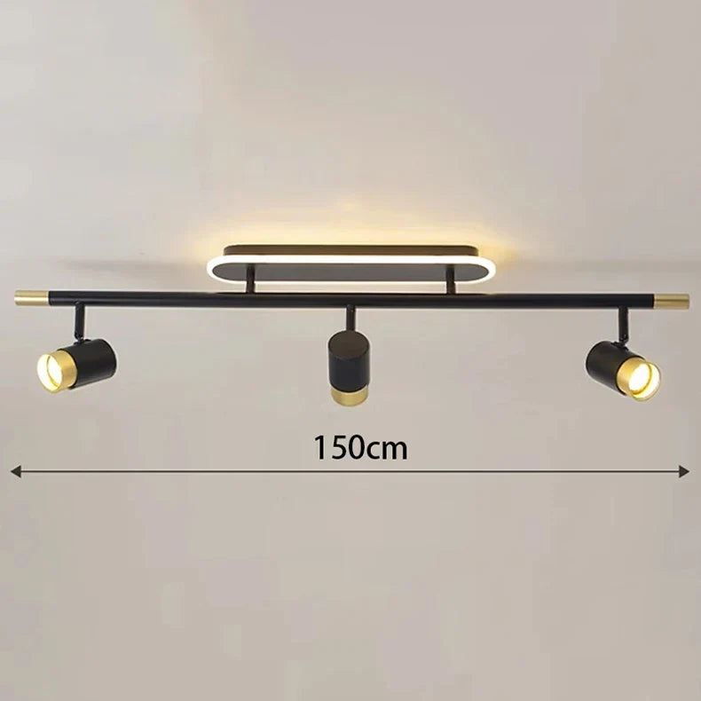 Gold Finish Ceiling Light
