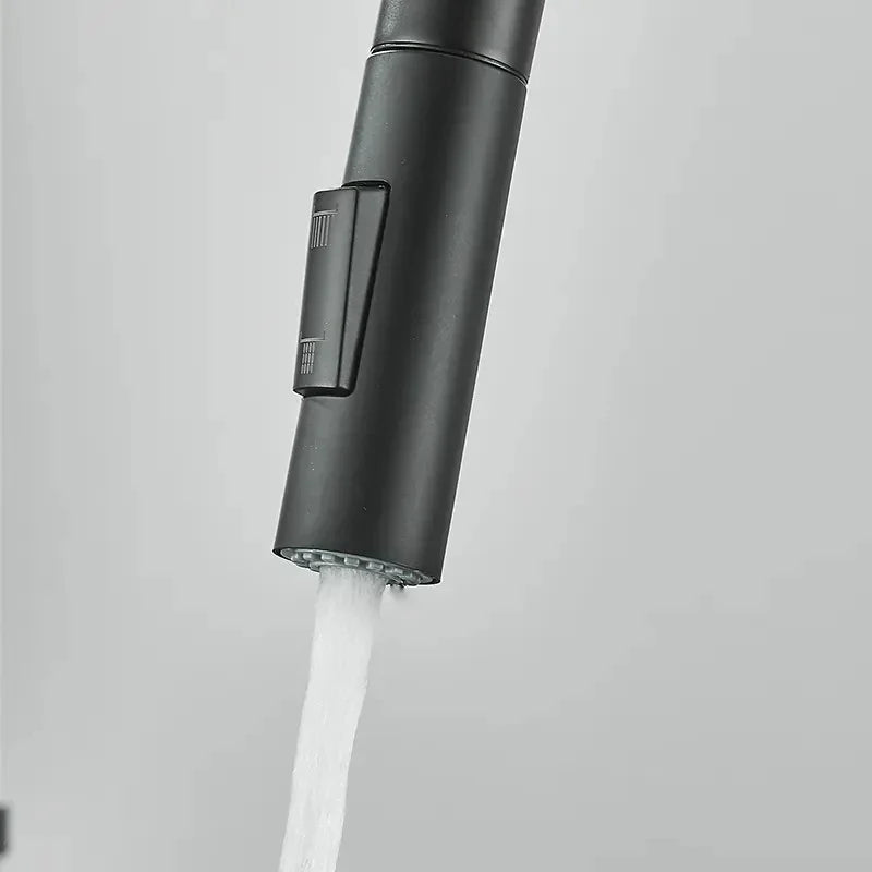 Chrome Kitchen Spray Head