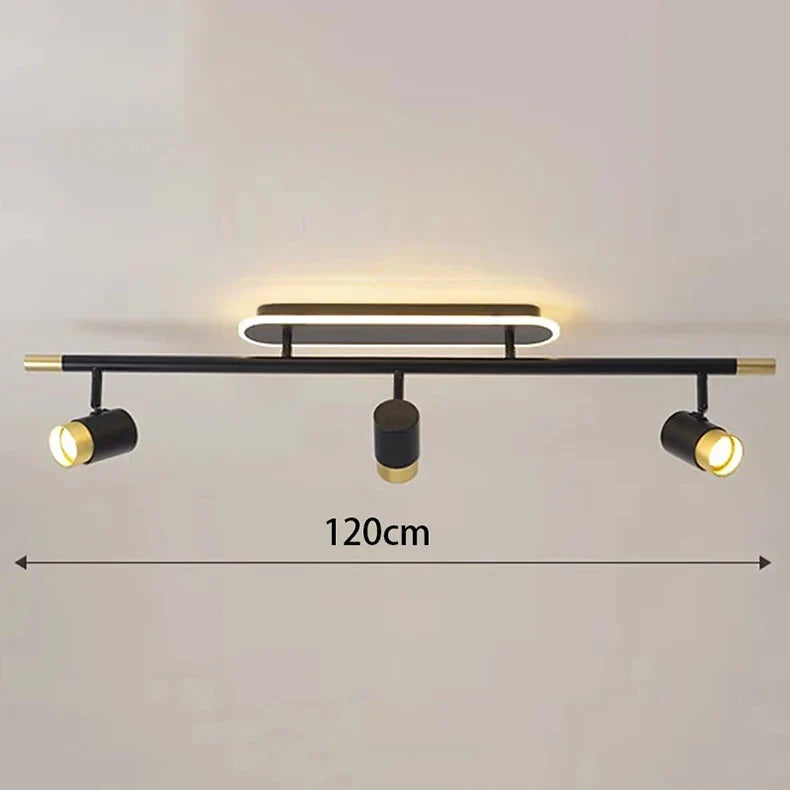 Gold Finish Ceiling Light