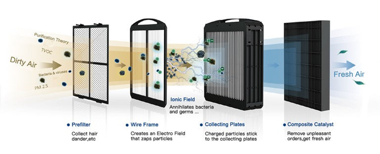 Airdog Purifier Medical Office and Home Using