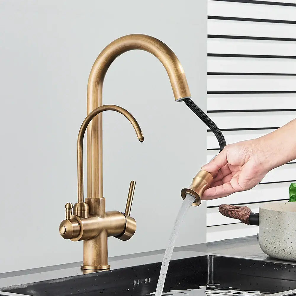 Brass Pull-Out Spray Faucet