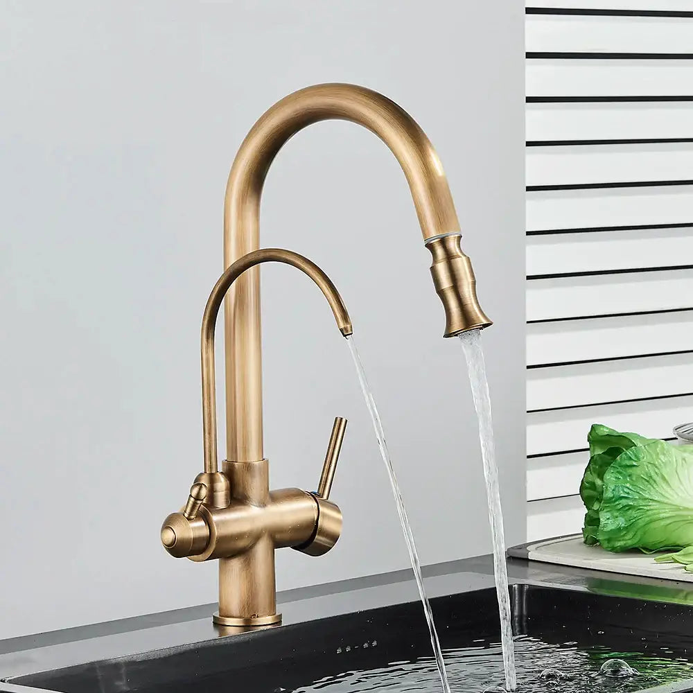 Brass Pull-Out Spray Faucet