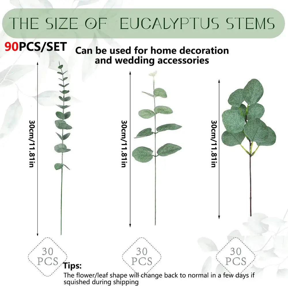 Green Eucalyptus Stem Bundle