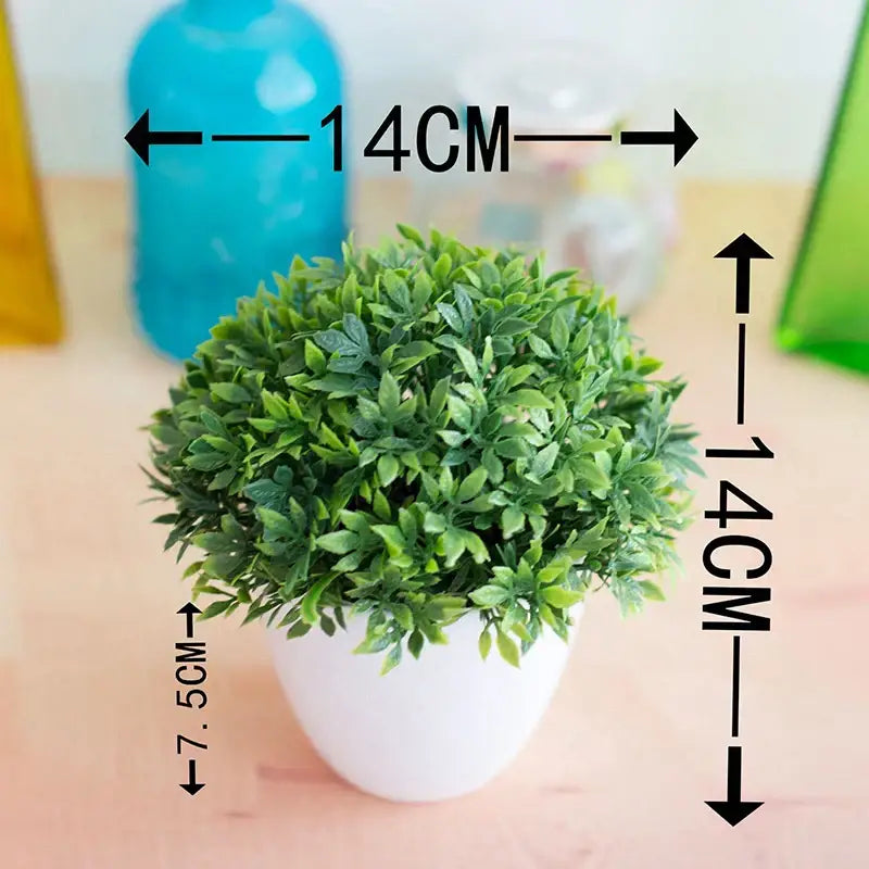 Green Pink Bonsai Tree