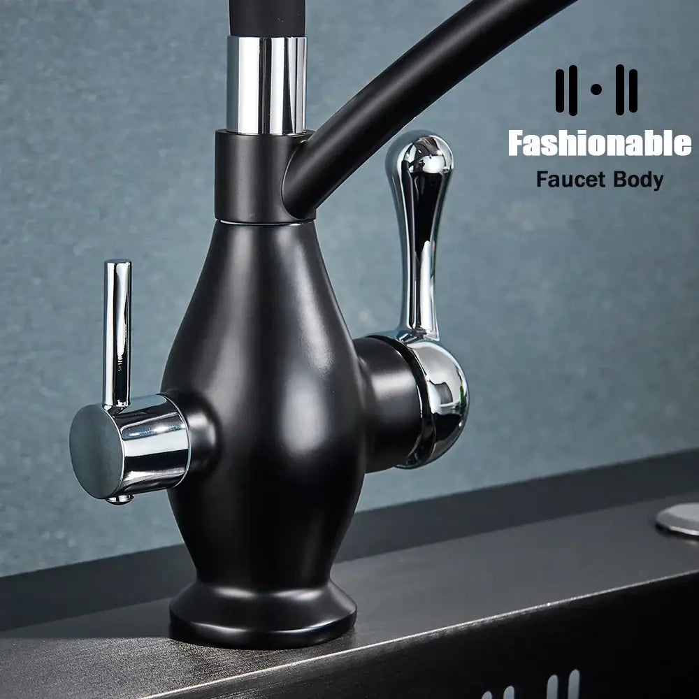 Chrome Dual Spout Faucet