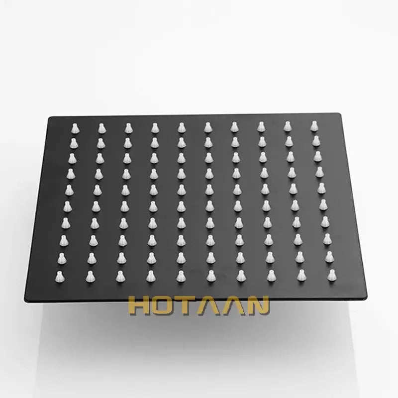 Modern Stainless Shower Head