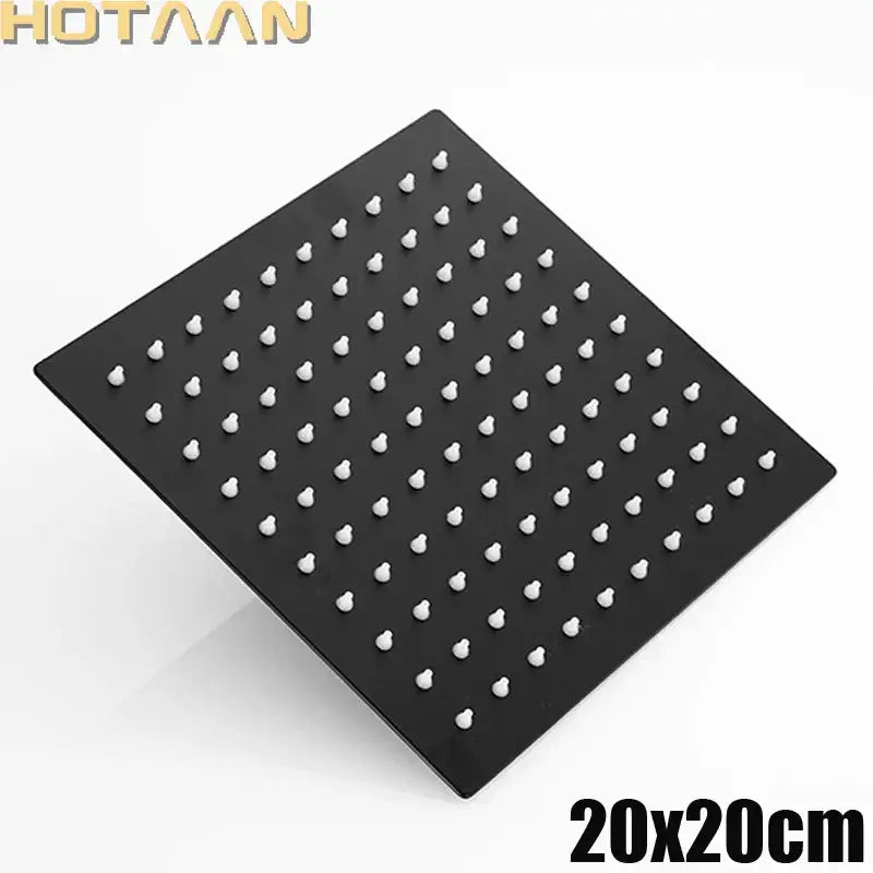 Modern Stainless Shower Head
