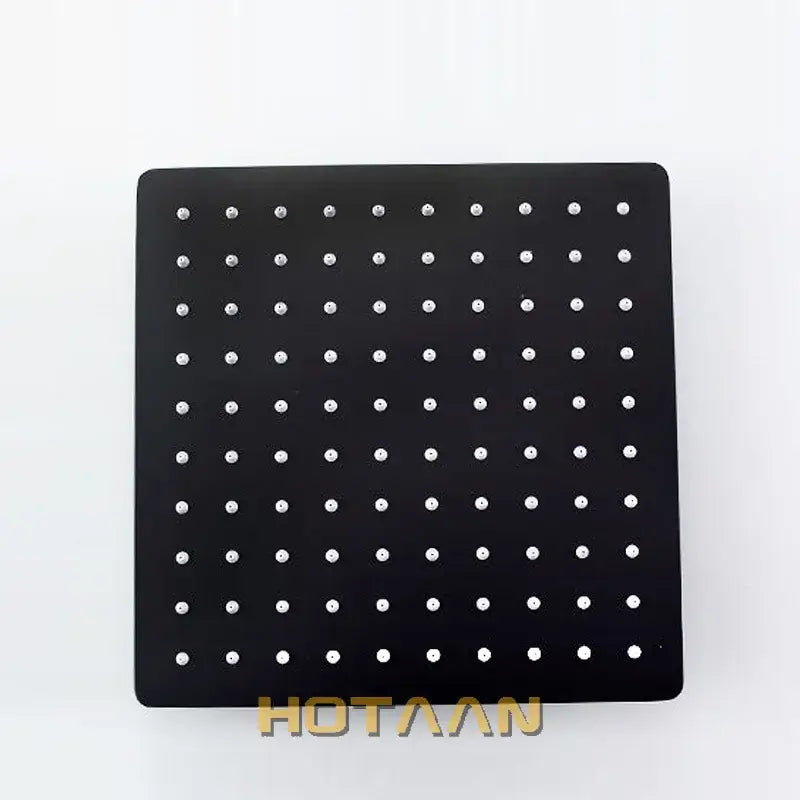 Modern Stainless Shower Head