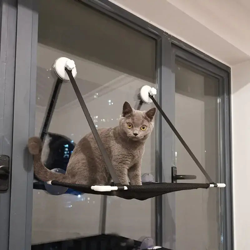 Black Cat Window Hammock