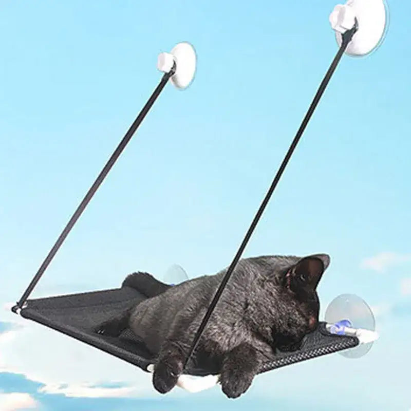 Black Cat Window Hammock
