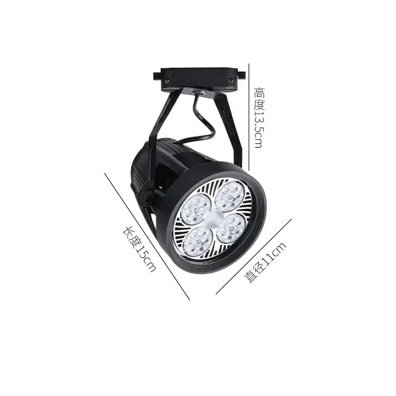 Black White 4-Light LED Ceiling Light