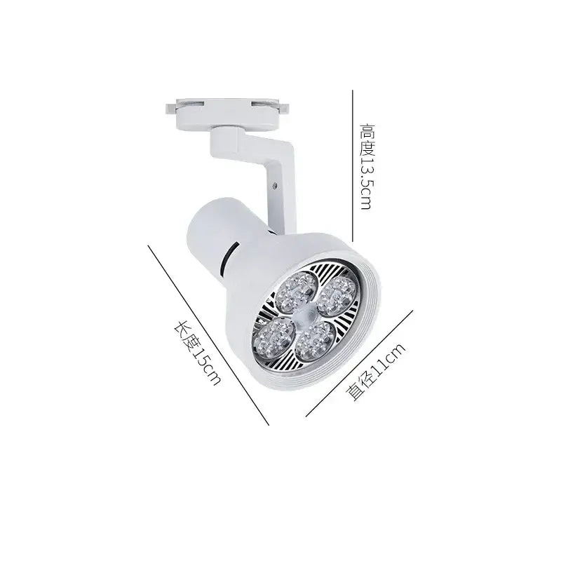 Black White 4-Light LED Ceiling Light
