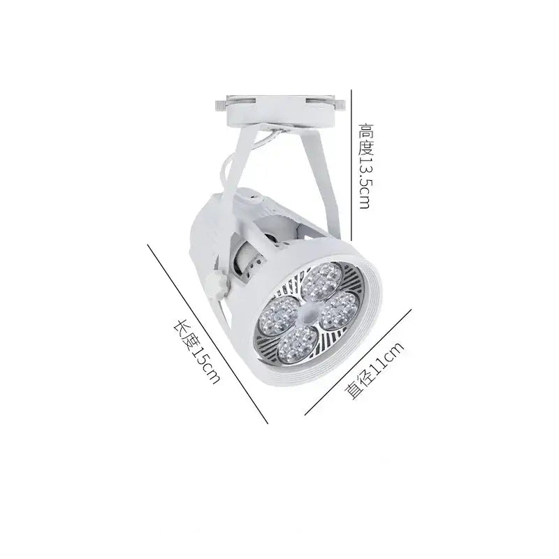 Black White 4-Light LED Ceiling Light