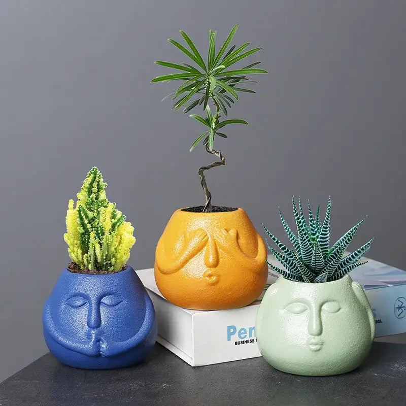 Blue Orange Face Planter
