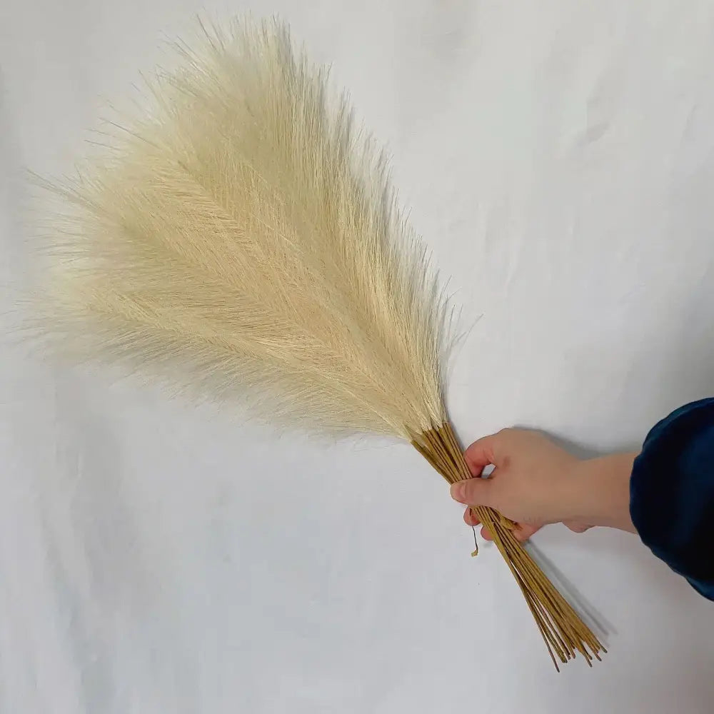 White Beige Pampas Grass