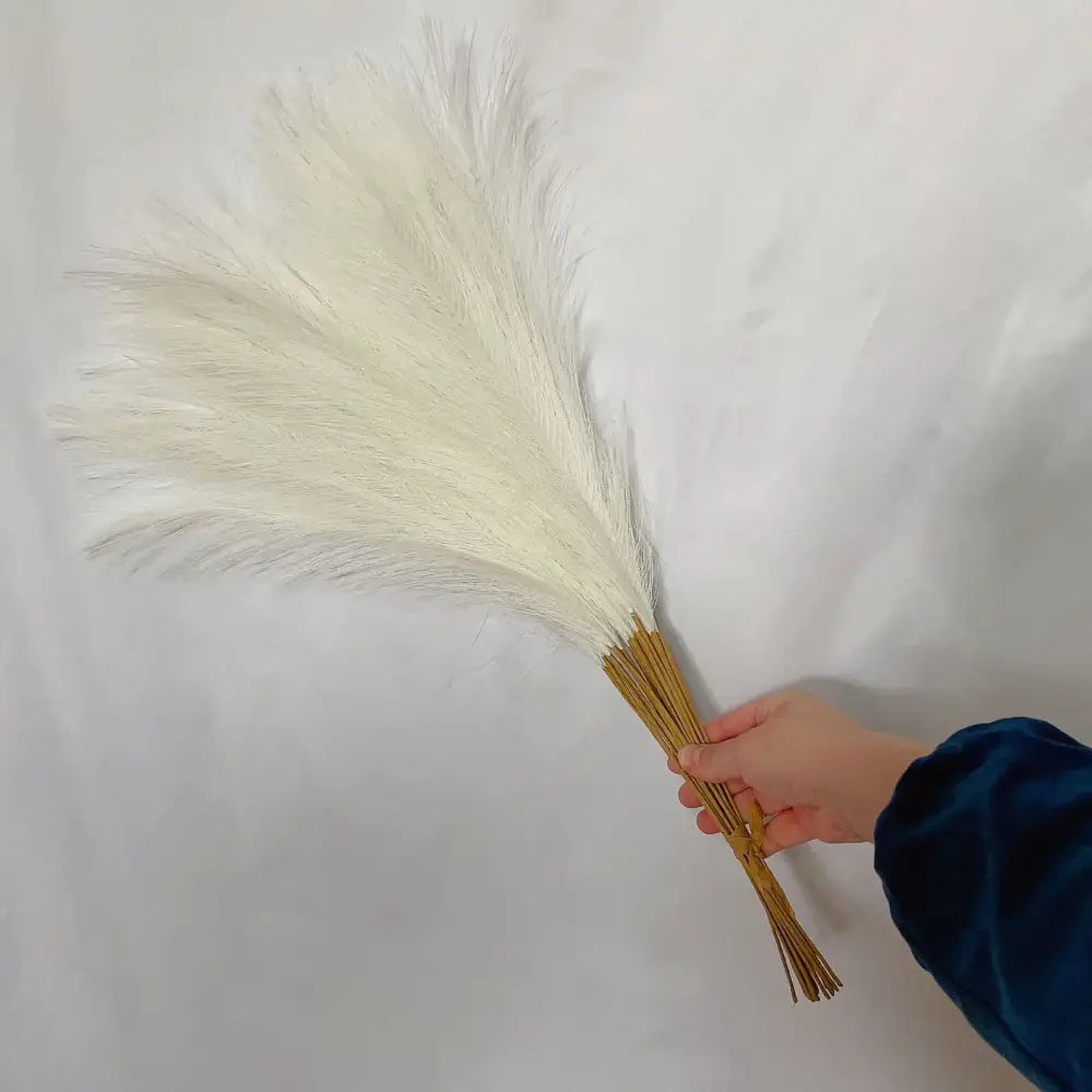 White Beige Pampas Grass