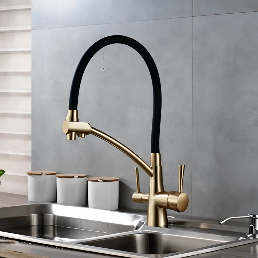 Brass Black Dual Spout Contemporary Faucet