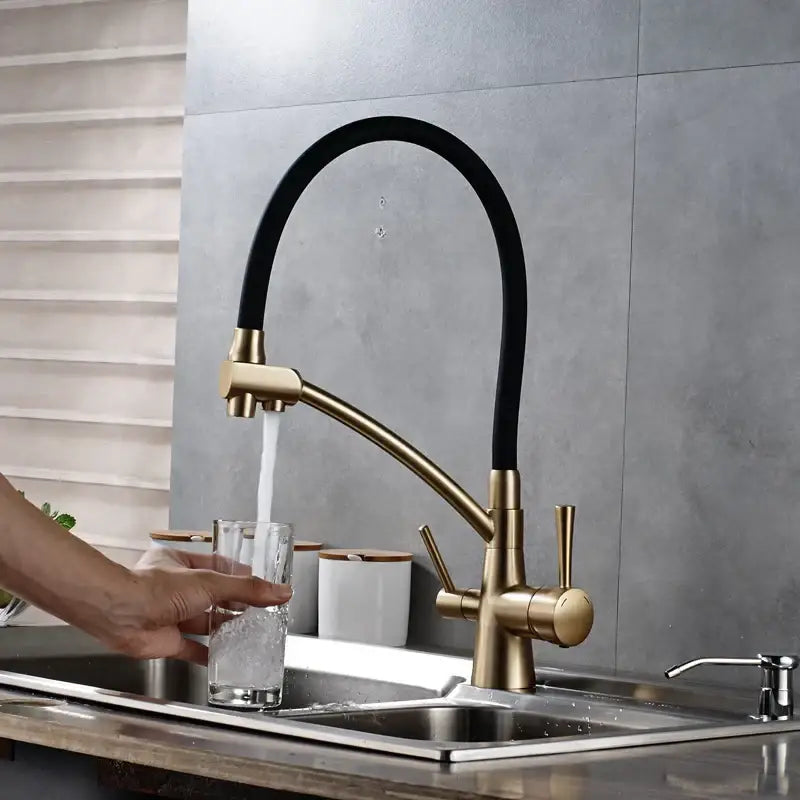 Brass Black Dual Spout Contemporary Faucet