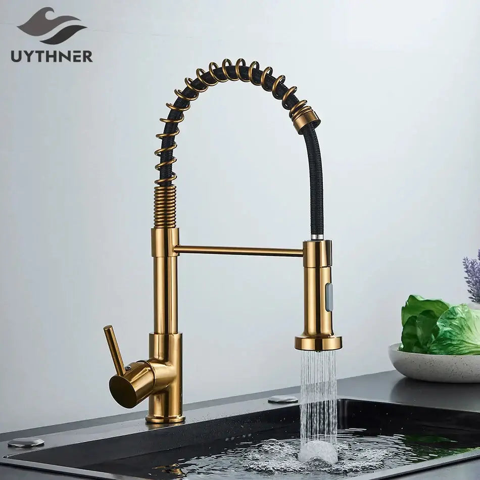 Nickel Spring Kitchen Faucet