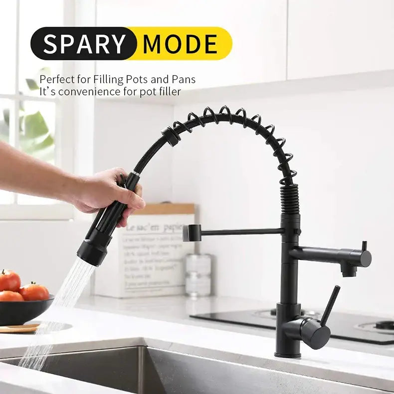 Nickel Spray Head Kitchen Faucet