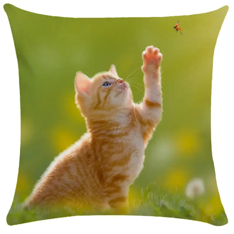 Black Cat Bubble Cushion Cover