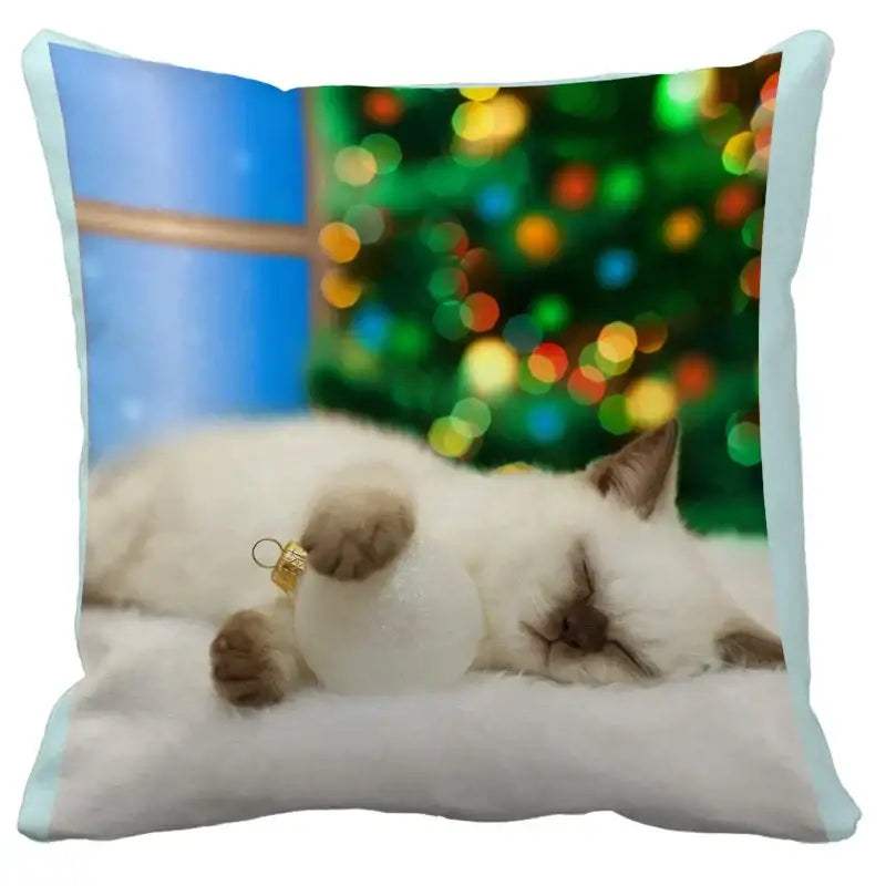 Black Cat Bubble Cushion Cover