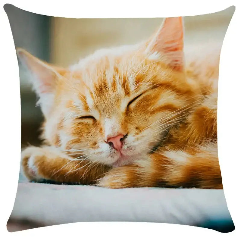 Black Cat Bubble Cushion Cover