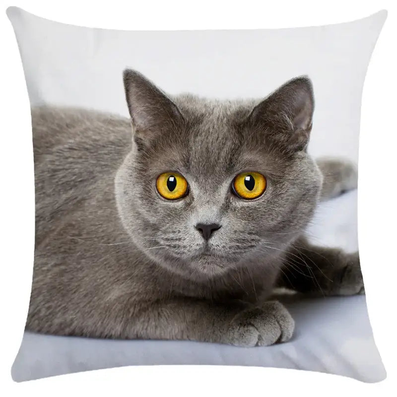 Black Cat Bubble Cushion Cover